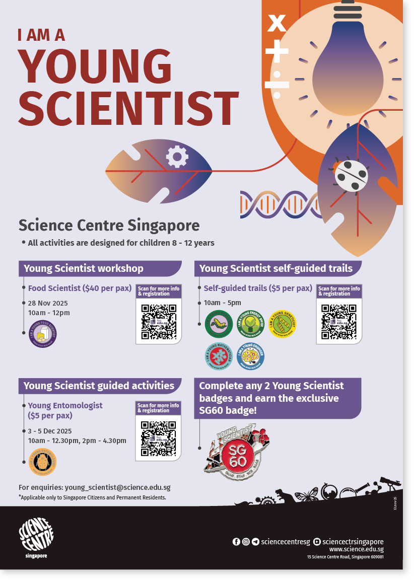 Young Scientist Badge November and December 2025 Activities
